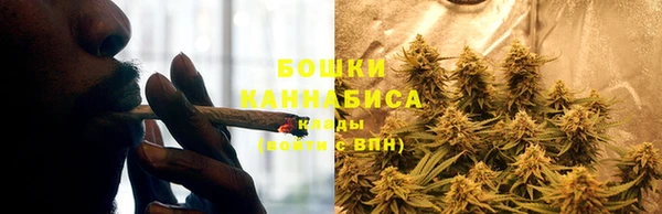 кокаин Белокуриха